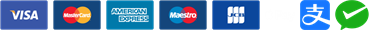 Visa, Mastercard, American Express, Maestro, JCB, Apple Pay, Alipay and WeChat Pay